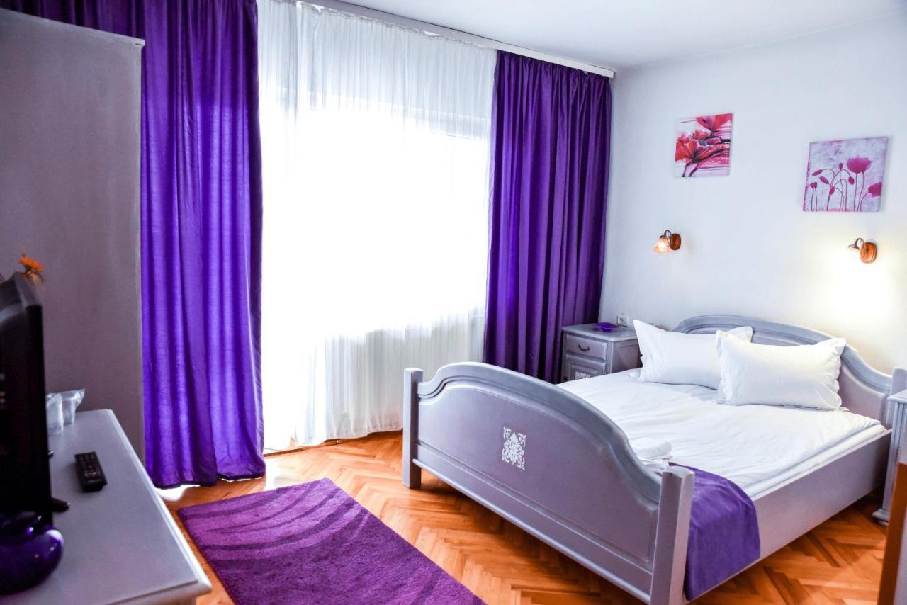 Pensiunea Vila Silva I Hateg Bagian luar foto