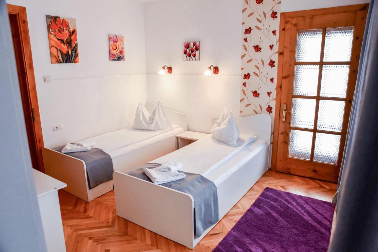 Pensiunea Vila Silva I Hateg Bagian luar foto